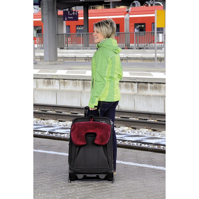 https://www.hama.cz/b2b/pictureprovider.aspx?format=png&path=105367%2F00105367awx3.jpg