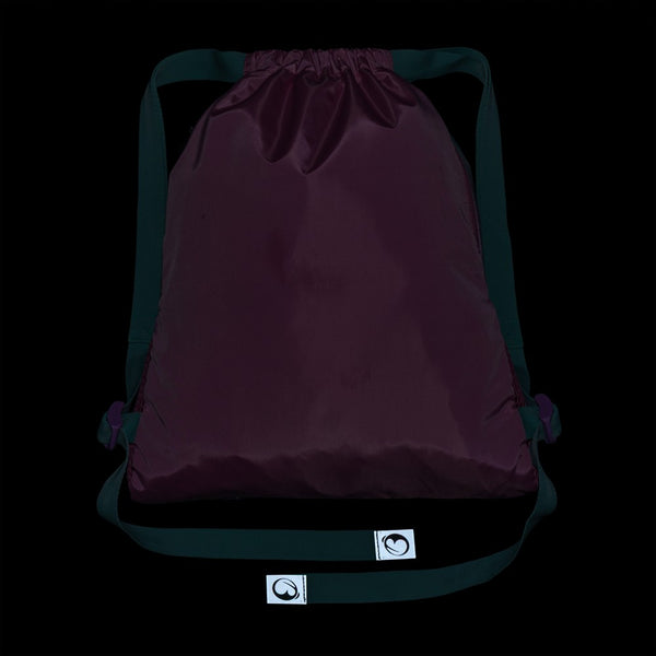 Bagmaster SÁČEK LUMI 26 B školní na přezůvky / tělocvik – kůň